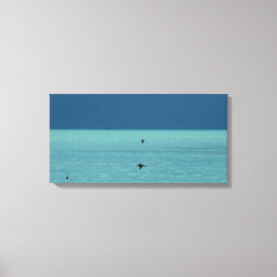 Toile La Floride verrouille des pélicans