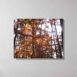 Toile La lumière du soleil dans l'arbre d'automne de la 
