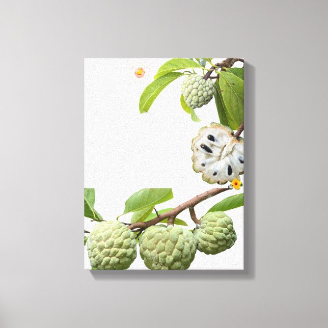 Toile La pomme-cannelle -  (Recto)