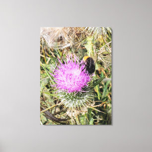 Toile L'abeille sur le chardon pourpre.