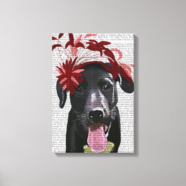 Toile Labrador Noir Avec Fascinateur Rouge (Recto)
