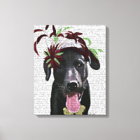 Labrador Noir Avec Fascinateur Vert
