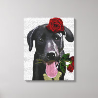 Labrador noir avec Rose