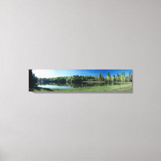 Toile Lac Drift Fence