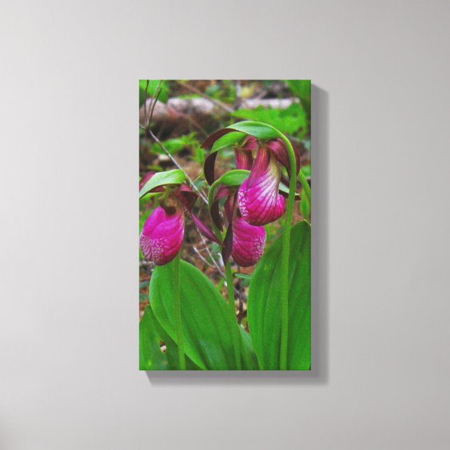 Toile Lady Slipper (Recto)