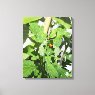 Toile Ladybug
