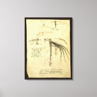 L'aile de Léonard de Vinci sur la machine volante 