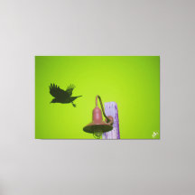 Langley Crow sur le poteau lumineux Série #5