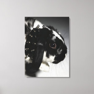 Toile Lapin noir et blanc avec le collier clouté