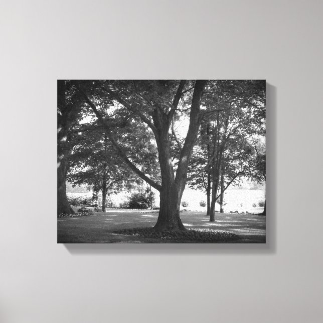 Toile L'arbre Dillard (Recto)