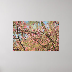 Toile L'arbre Sakura est prêt à fleurir dans le jardin d
