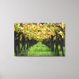 Toile L'Argentine, Mendoza, rangée de raisin dans le