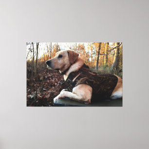 Toile L'arme ultime du chasseur de canards du Labrador R