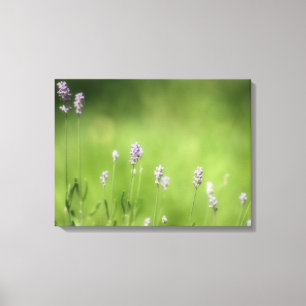 Toile Lavande & Green Photography Art