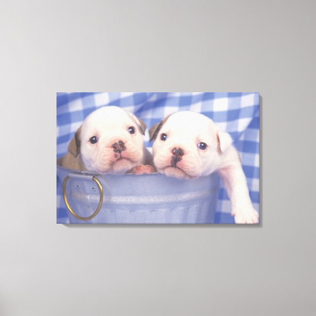 Toile Le Bulldog, souvent appelé le Bulldog anglais, (Recto)