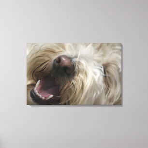 Toile Le Canada, Colombie-Britannique, Vancouver