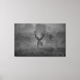 Toile Le Cerf Dans La Mist