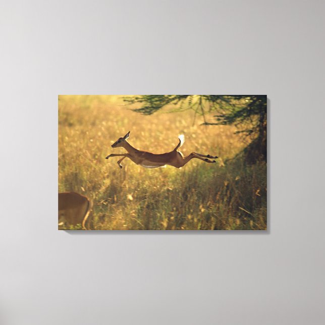 Toile Le cerf saute dans le champ (Recto)
