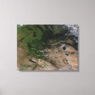 Toile Le changement de végétation