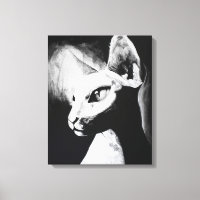 Le Chat Sphynx Cheveux Kitty Black White Peinture
