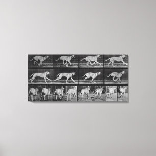 Toile Le chien courant, plaquent 707 "de la locomotion