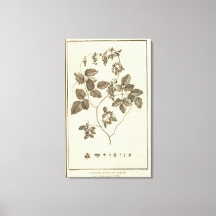 Toile Le Chili 8