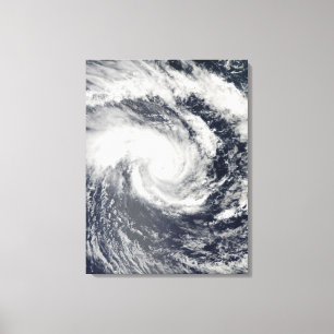 Toile Le cyclone tropical Edzani dans l'Oce du Sud de l'
