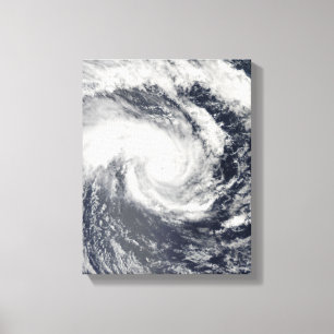 Toile Le cyclone tropical Edzani dans l'Oce du Sud de l'