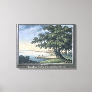 Toile Le grand arbre de Kingston avec une vue de