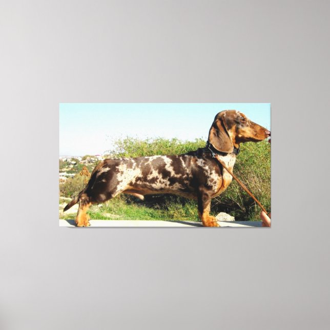 Toile Le Grand Dachshund (Recto)