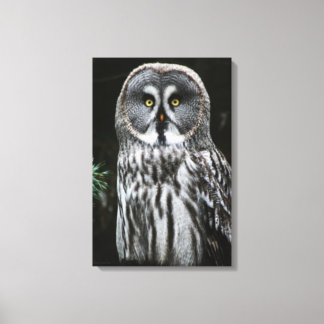Toile Le grand hibou gris 16x24 (40x60cm) waccna (Recto)