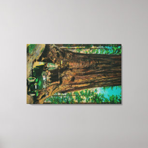 Toile Le grand verger d'arbre de Mariposa, Yosemite