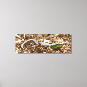 Toile Le lézard d'émeraude Salamander sur la terre
