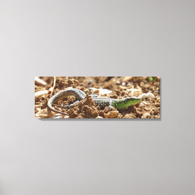 Toile Le lézard d'émeraude Salamander sur la terre (Recto)