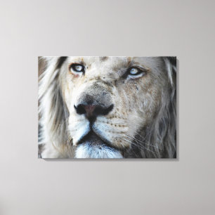 Toile Le lion écoute mon battement de coeur Afrique