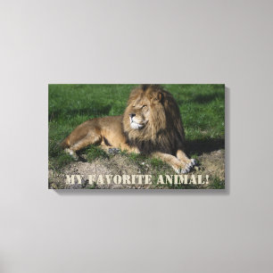 Toile Le lion est mon animal favori !