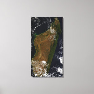 Toile Le Madagascar