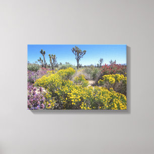 Toile Le Parc National De Joshua Tree En Fleur