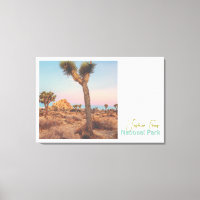 Le Parc national de Joshua Trees