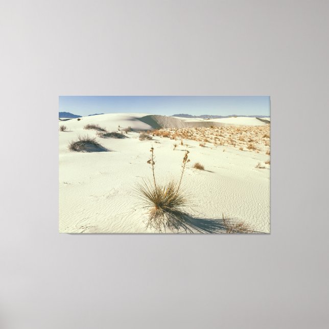 Toile Le parc national de White Sands (Recto)