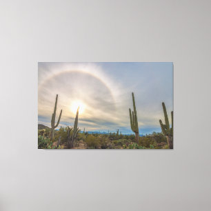 Toile Le Parc national du Saguaro