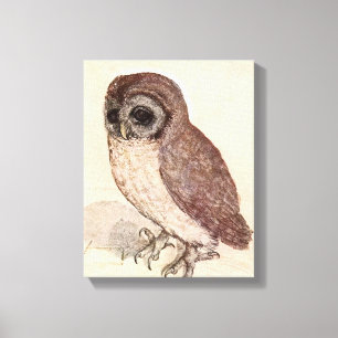 Toile Le Petit hibou   Albrecht Dürer