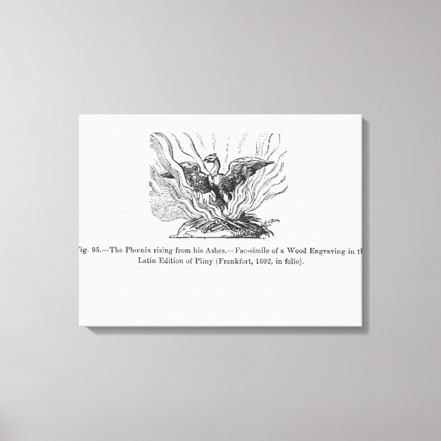 Toile Le Phénix se levant de ses cendres (Recto)