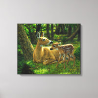 Le printemps blanc Fawn et la mère Deer