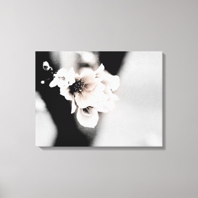 Toile Le printemps passé | Photographie florale (Recto)