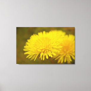 Toile Le rêve de Dandelion. Jolie fleur jaune sauvage