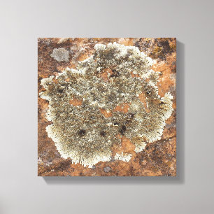 Toile Le rock - L'art dans la nature