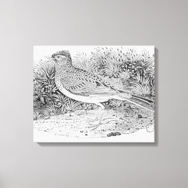 Toile Le Skylark (Recto)