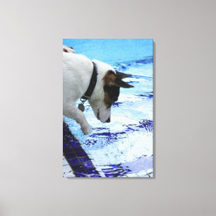 Toile L'eau émouvante de chien à la piscine