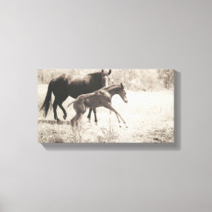 Toile Lecteurs directs